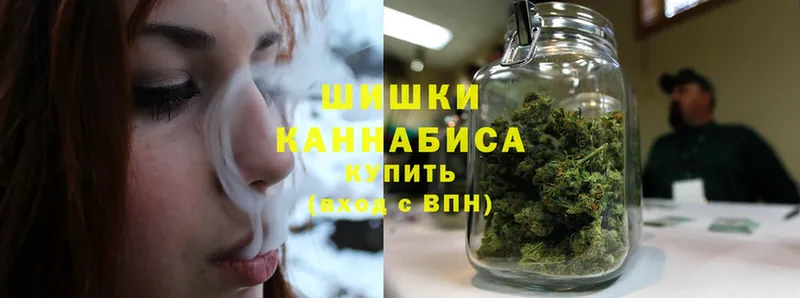 Бошки марихуана White Widow  хочу наркоту  Томск 